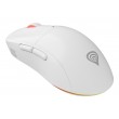 GENESIS Zircon XIII white
