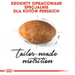 ROYAL CANIN Persian Adult - dry cat food - 2kg