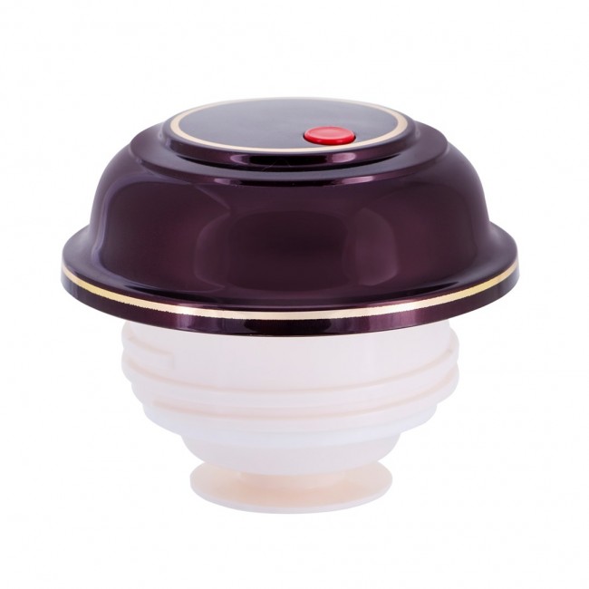 ROTPUNKT 330-16-04-0 vacuum flask 1 L Cherry (fruit) ROTPUNKT 330-16-04-0 vacuum flask 1 L Cherry (fruit)