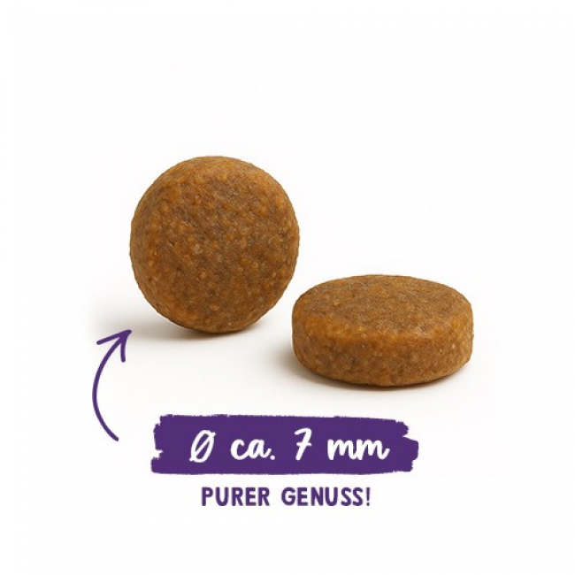 BOSCH Sanabelle Adult Ostrich & Blueberries - dry cat food - 2kg