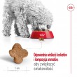 ROYAL CANIN Mini Adult +8 - dry dog food - 2 kg ROYAL CANIN Mini Adult +8 - dry dog food - 2 kg