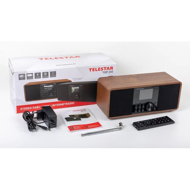 Telestar 5701250 radio Internet Digital Wood