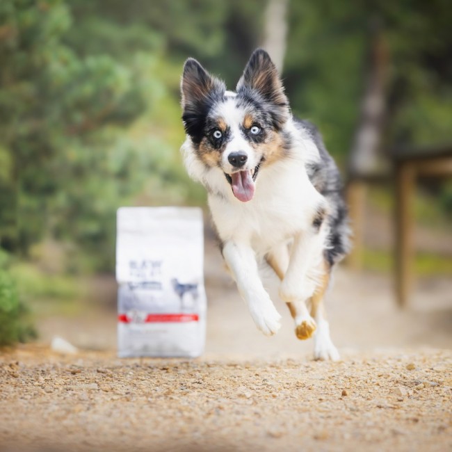 RAW PALEO Ultra Medium&Large Adult Beef - dry dog food - 10 kg RAW PALEO Ultra Medium&Large Adult Beef - dry dog food - 10 kg