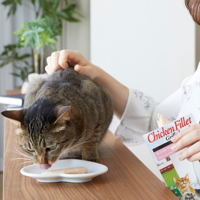 INABA Ciao Grilled Chicken fillet in scallop flavored broth - cat treats - 25g INABA Ciao Grilled Chicken fillet in scallop flavored broth - cat treats - 25g