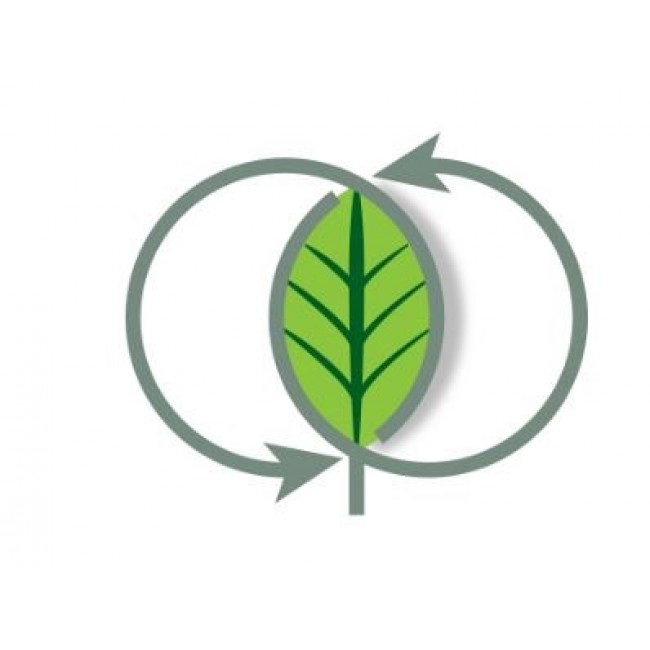 Smeg Collection Espresso Coffee Machine BCC12WHMEU White Smeg Collection Espresso Coffee Machine BCC12WHMEU White