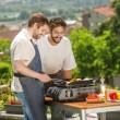 Black+Decker BXOP4900E 2-burner gas barbecue