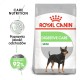 ROYAL CANIN Mini Digestive Care - dry dog food for adult small breeds - 1kg