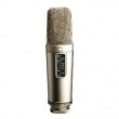 R DE NT2-a Silver Stage/performance microphone R DE NT2-a Silver Stage/performance microphone