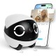 Enabot Rola Mini Smart monitoring robot white, black Enabot Rola Mini Smart monitoring robot white, black