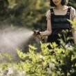 Fiskars 1065482 not categorized Fiskars 1065482 not categorized