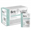 BRIT VD Urinary and Stress Relief Pouch - wet cat food - 12x85g BRIT VD Urinary and Stress Relief Pouch - wet cat food - 12x85g
