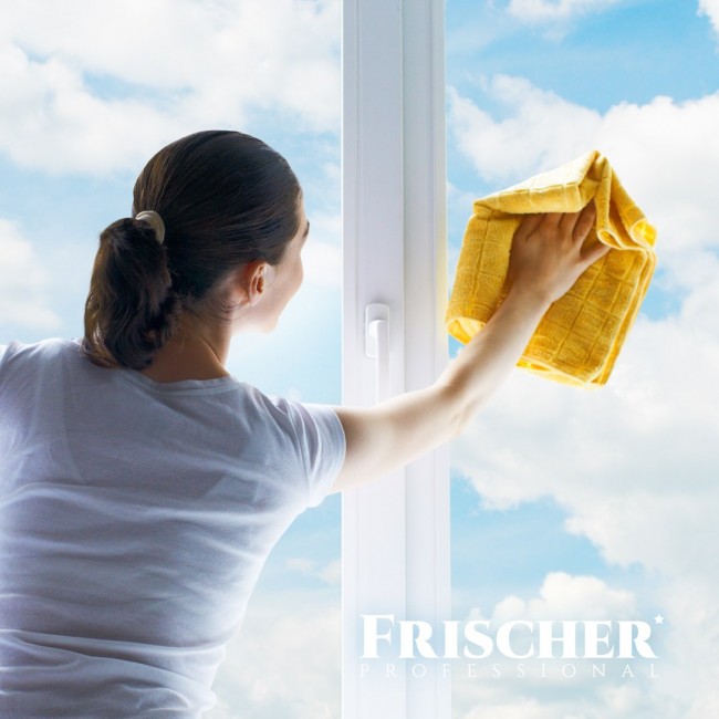 Frischer glass cleaner with anti-vapour function 0,5l Frischer glass cleaner with anti-vapour function 0,5l