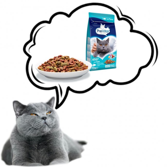 PREVITAL Adult Tuna - dry cat food - 1,4kg PREVITAL Adult Tuna - dry cat food - 1,4kg