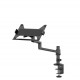 Neomounts DS20-425BL1 Laptop holder monitor arm 11.6-17.3