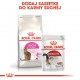 Royal Canin Savour Exigent 35/30 dry cat food Adult Maize,Poultry,Rice,Vegetable 2 kg