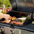 Black+Decker BXOG7200E gas grill, 2 burners x 3.6 kW Black+Decker BXOG7200E gas grill, 2 burners x 3.6 kW