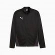 PUMA teamGOAL