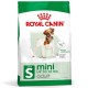 ROYAL CANIN Adult Mini S - dry dog food - 4kg ROYAL CANIN Adult Mini S - dry dog food - 4kg
