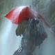 EuroSCHIRM Birdiepal outdoor Red Fiberglass Polyamide Full-sized Rain umbrella