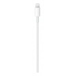 Apple USB-C to Lightning Cable (2m)