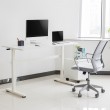 Manual height adjustable desk Ergo Office, max 40 kg, max height 117cm, with a top for standing and sitting work, ER-401 W Manual height adjustable desk Ergo Office, max 40 kg, max height 117cm, with a top for standing and sitting work, ER-401 W