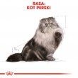 Royal Canin Persian cats dry food 4 kg Adult Maize, Poultry