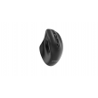 Gembird MUSW2-6B-02 Dual-mode wireless mouse (2.4G + BT), 2400 DPI, 6-button, black