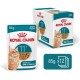 ROYAL CANIN Ageing 11+ Chunks in gravy - wet cat food - 12x85g ROYAL CANIN Ageing 11+ Chunks in gravy - wet cat food - 12x85g