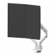 Neomounts DS70-250WH2 Monitor arm 17-32