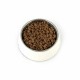 PUPIL Premium Junior Medium and large breeds Rich in beef - dry dog food - 12kg