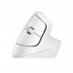 Logitech Lift for Mac