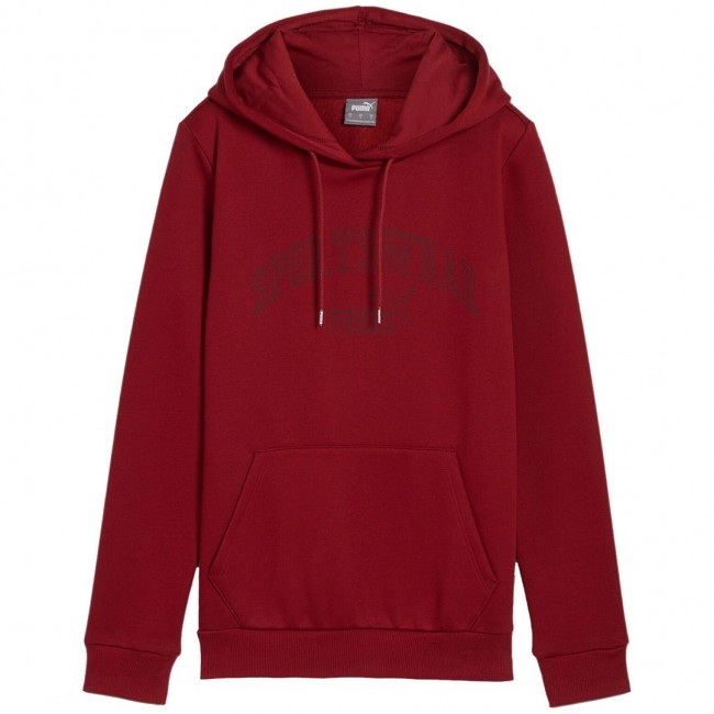 Puma Ess+ Logo LAB Hoodie FL burgundy 682987 13 L