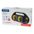 SOUNDWAVE Bluetooth Speaker
