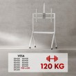Maclean TV stand / cart, camera shelf, on casters, 55-100