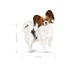 ROYAL CANIN Adult x- small SHN - dry dog food - 0,5kg