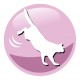 PREVITAL Senior Salmon - dry cat food - 1,4kg PREVITAL Senior Salmon - dry cat food - 1,4kg