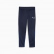 PUMA teamGOAL Male Blue Polyester
