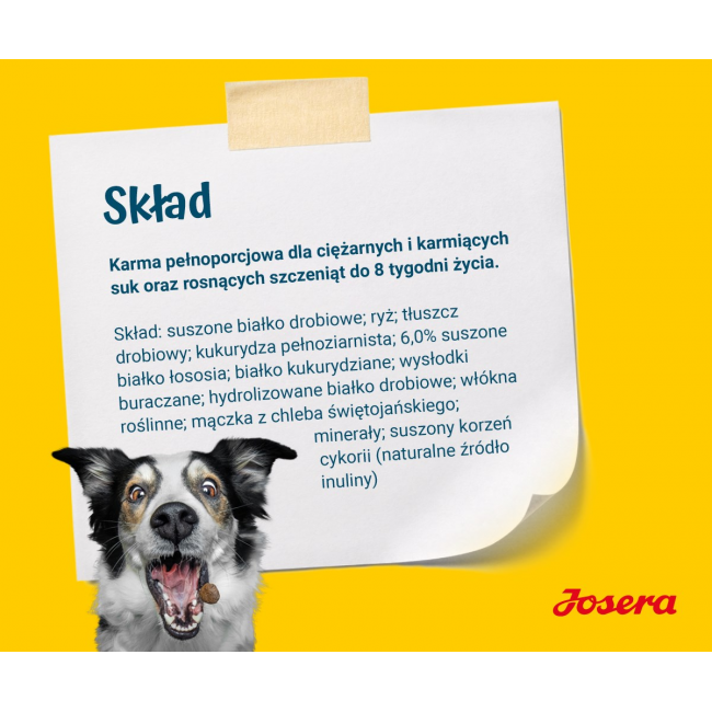 JOSERA Family Plus Puppy - dry dog food - 12,5kg