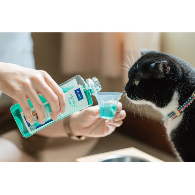 VIRBAC Vet Aquadent FR3SH - dental solution for oral hygiene for dogs and cats 250ml VIRBAC Vet Aquadent FR3SH - dental solution for oral hygiene for dogs and cats 250ml