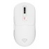 GENESIS NMG-2194 mouse Gaming Ambidextrous Bluetooth + USB Type-C Optical 26000 DPI