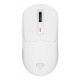 GENESIS NMG-2194 mouse Gaming Ambidextrous Bluetooth + USB Type-C Optical 26000 DPI