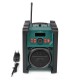 Nedis RDDB3100GN radio Portable Analog & digital Black, Green