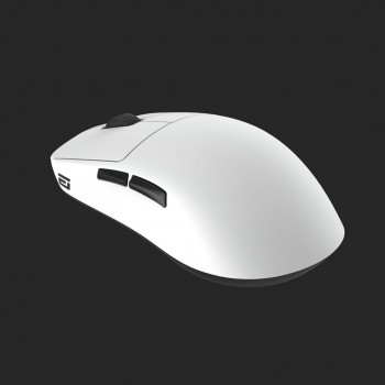 Endgame Gear OP1we mouse Gaming Right-hand USB Type-A Optical 19000 DPI