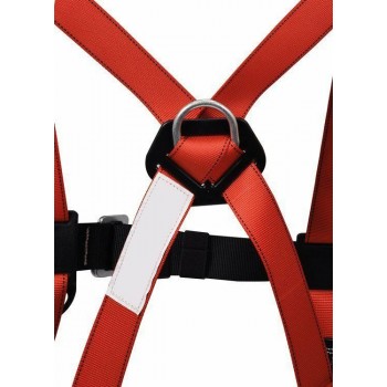 Set of harness and shock absorber