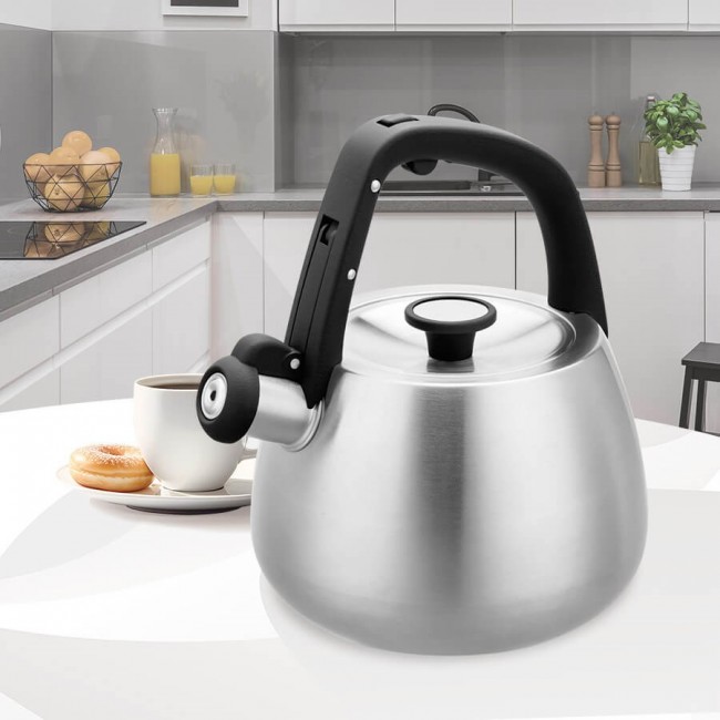 Kettle Maestro MR-1318 2,5 l Silver, Black