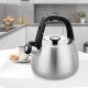 Kettle Maestro MR-1318 2,5 l Silver, Black