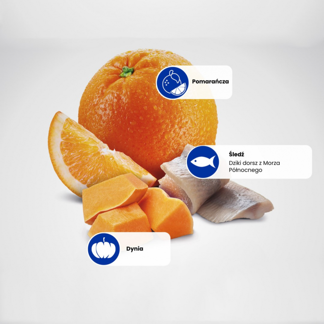 FARMINA N&D Ocean Herring Pumpkin&Orange Adult - dry cat food - 1,5 kg