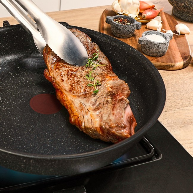 Tefal Expertise+ G3330443 frying pan All-purpose pan Round
