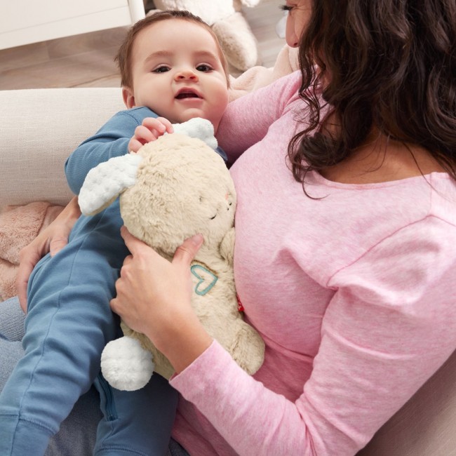 Fisher-Price Soothe & Settle Bunny Plush Baby Toy & Customizable Sound Machine with Motion