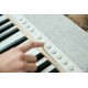 Casio CT-S1 Digital synthesizer 61 White Casio CT-S1 Digital synthesizer 61 White